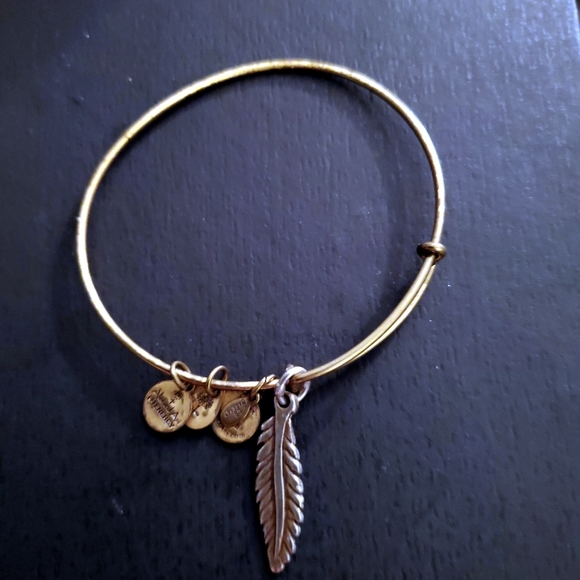 2 Alex & Ani Adjustable bracelets Silver & Gold - Picture 4 of 6